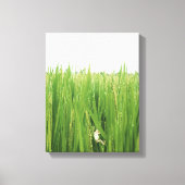 Een kikker die vers gras beklimt canvas afdruk (Voorkant)