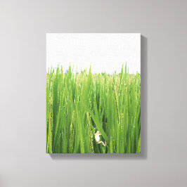 Een kikker die vers gras beklimt canvas afdruk