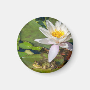 Een kikker onder een bloem van waterlelie magneet