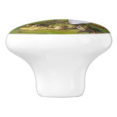 Een kikker onder een lelie keramische knop (Zijkant)