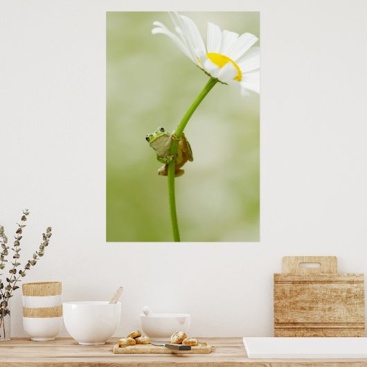 Een kikker poster (Keuken)