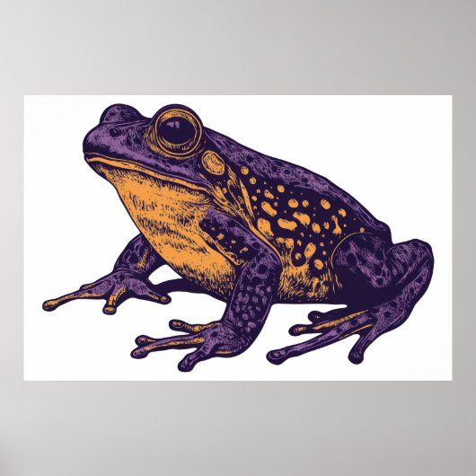 Een kikkerillustratie - groot poster (Voorkant)