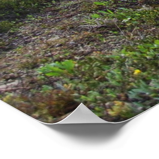 Een kind opleiden... poster (Hoek)