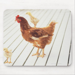 een kip en twee kippen op een houten vloer, muismat