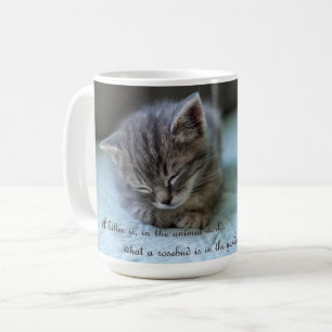 Een kitten is een rosebud mok
