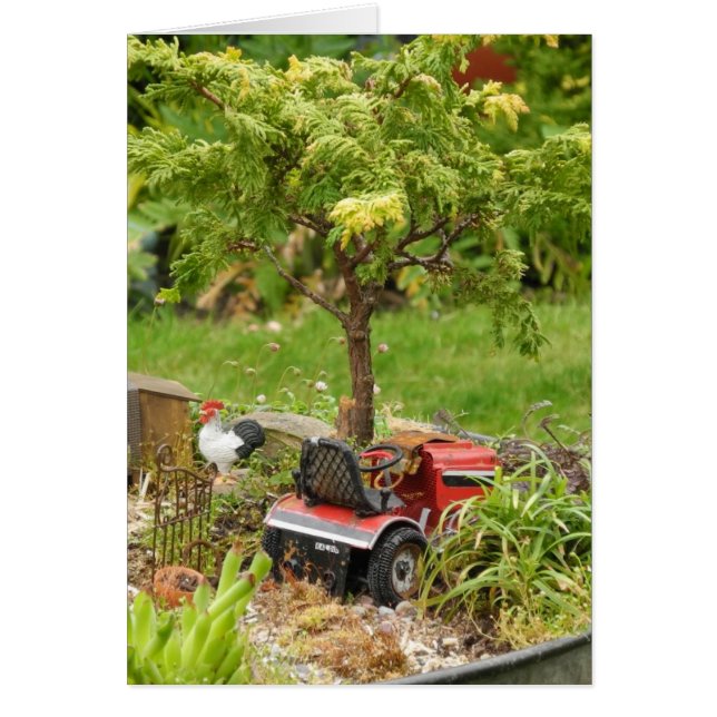 Een klein beetje land, een lege kaart (Voorkant)