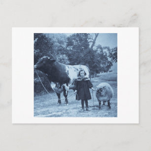 Een klein kind leidt hen cyanotype -  briefkaart