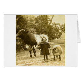 Een klein kind zal hen leiden