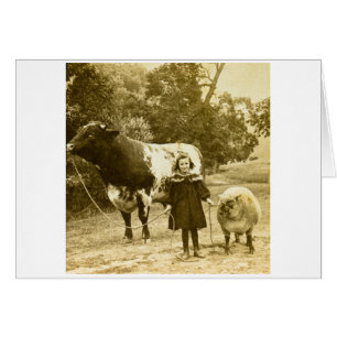 Een klein kind zal hen leiden