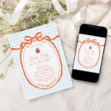 Een Klein Liefdeskever Op Weg Gingham Baby Shower
