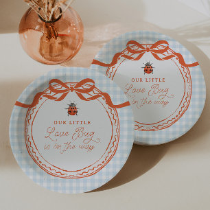 Een Klein Liefdeskever Op Weg Gingham Baby Shower Papieren Bordje