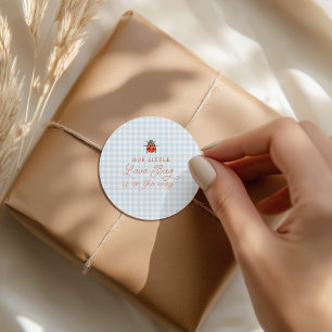 Een Klein Liefdeskever Op Weg Gingham Babyfeestje Ronde Sticker