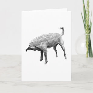 Een Klein Neus-Check Kreetje Kaart