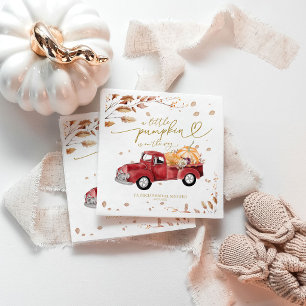 Een Klein Pompoentje Is Op Weg Baby Shower Servet