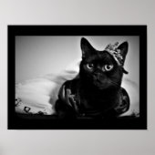 Een klein prinses Poster (Voorkant)