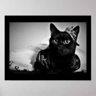 Een klein prinses Poster