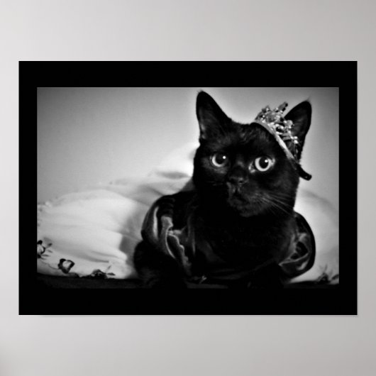 Een klein prinses Poster (Voorkant)