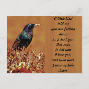 Een klein vogeltje vertelde me een spreeuwvogelfot briefkaart