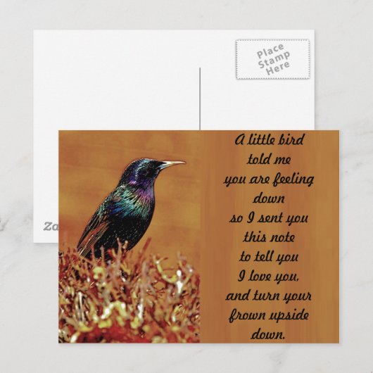 Een klein vogeltje vertelde me een spreeuwvogelfot briefkaart (Voorkant / Achterkant)