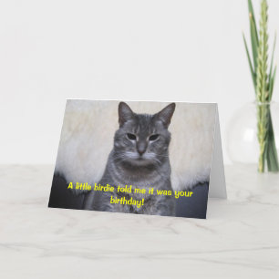 Een klein vogeltje vertelde me het was uw kaart