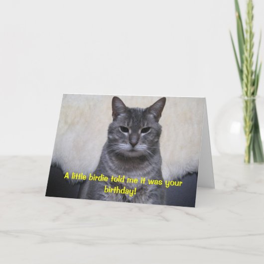 Een klein vogeltje vertelde me het was uw kaart (Voorkant)