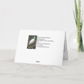 Een kleine blauwe Heron Vist Kaart (Achterkant)