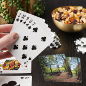 Een kleine brug pokerkaarten (Insitu)