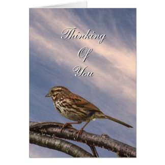 Een kleine bruine vogel