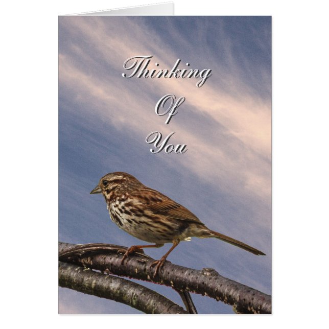 Een kleine bruine vogel (Voorkant)