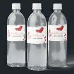 Een kleine bundel van Joy Christmas Baby shower Waterfles Etiket<br><div class="desc">Verhoog uw baby shower met onze charmante Christmas Minimalist Baby showers flesetiket afdrukbare. Deze aanpasbare labels zijn versierd met schattige baby-motieven en voegen een vleugje grillen toe aan uw evenement. Personaliseer aan creëer een heerlijke sfeer die uw verfrissingen zo schattig maakt als ze verfrissend zijn! BS548</div>