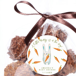 Een kleine Bunny is onderweg! Baby Shower Ronde Sticker