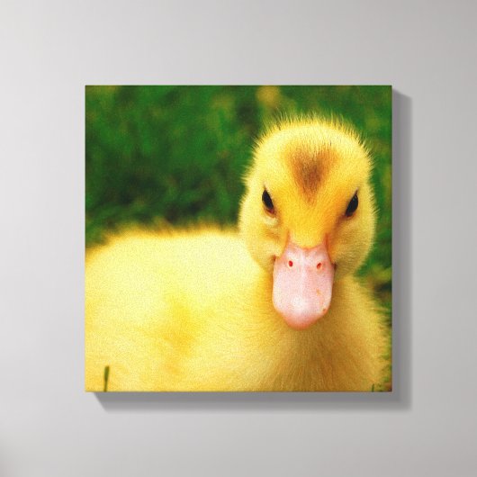 Een kleine druppelaar canvas afdruk (Voorkant)