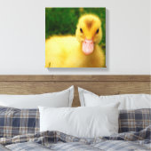 Een kleine druppelaar canvas afdruk (Insitu (Slaapkamer))