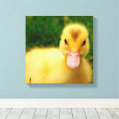 Een kleine druppelaar canvas afdruk (Insitu (Houten vloer))