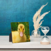 Een kleine druppelaar fotoplaat (Insitu)