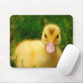 Een kleine druppelaar muismat (Met muis)