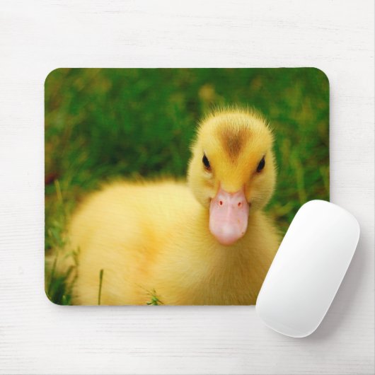 Een kleine druppelaar muismat (Met muis)