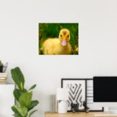 Een kleine druppelaar poster (Thuiskantoor)