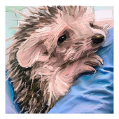 Een kleine en verweesde baby egel voeden foto afdruk (Voorkant)