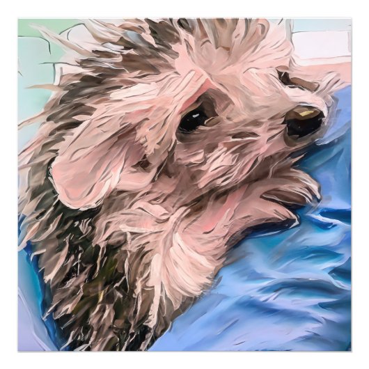 Een kleine en verweesde baby egel voeden foto afdruk (Voorkant)