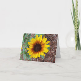 Een kleine gele zonnebloem in de bloemtuin notitiekaartje