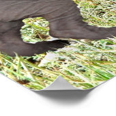 een kleine grijze kraag ziet een olifant poster (Hoek)