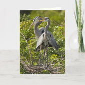 Een kleine Kaart van de Verjaardag van het (Voorkant)