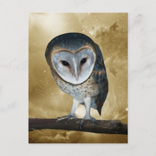 Een kleine kleine Barn Owl Fantasy Briefkaart (Voorkant)