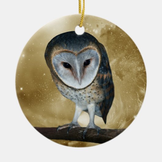 Een kleine kleine Barn Owl Fantasy Keramisch Ornament (Voorkant)