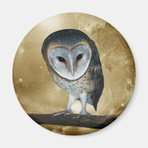 Een kleine kleine Barn Owl Fantasy Magneet