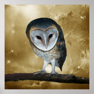 Een kleine kleine Barn Owl Fantasy Poster