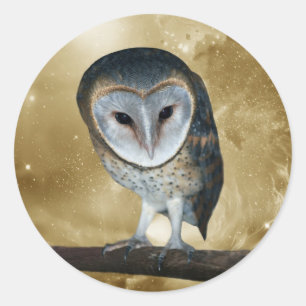 Een kleine kleine Barn Owl Fantasy Ronde Sticker
