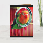 Een kleine kolibrie kaart (Voorkant)