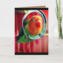 Een kleine kolibrie kaart